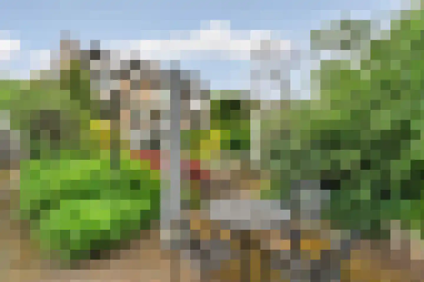 Nijmeegsebaan 130 Heilig Landstichting thumbnail 57