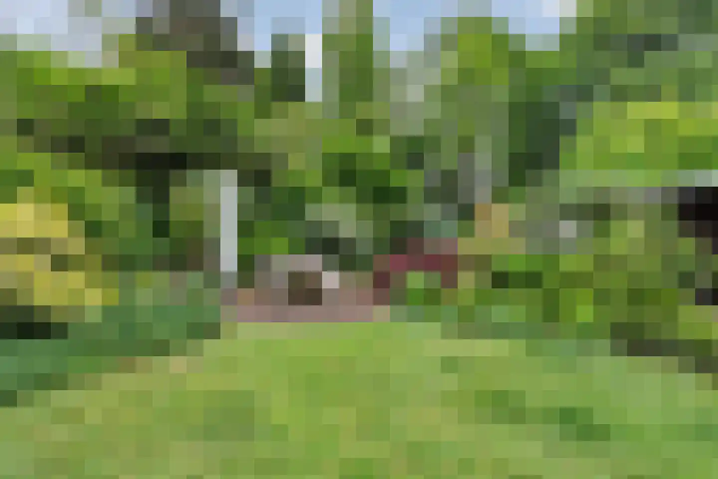 Nijmeegsebaan 130 Heilig Landstichting thumbnail 59