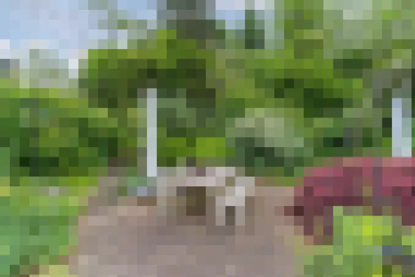 Nijmeegsebaan 130 Heilig Landstichting thumbnail 60