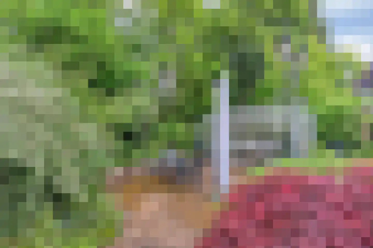 Nijmeegsebaan 130 Heilig Landstichting thumbnail 61