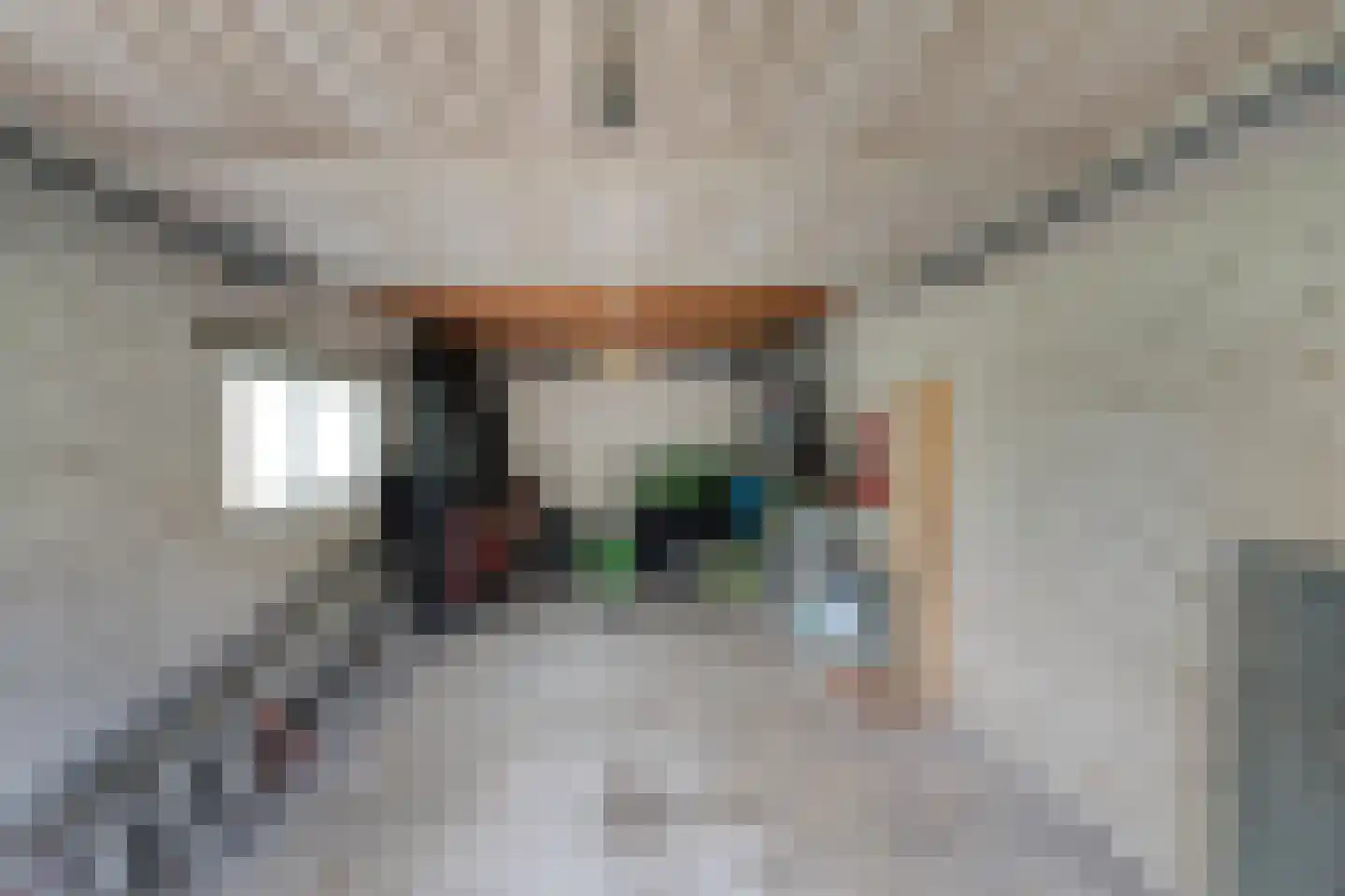 Nijmeegsebaan 130 Heilig Landstichting thumbnail 62