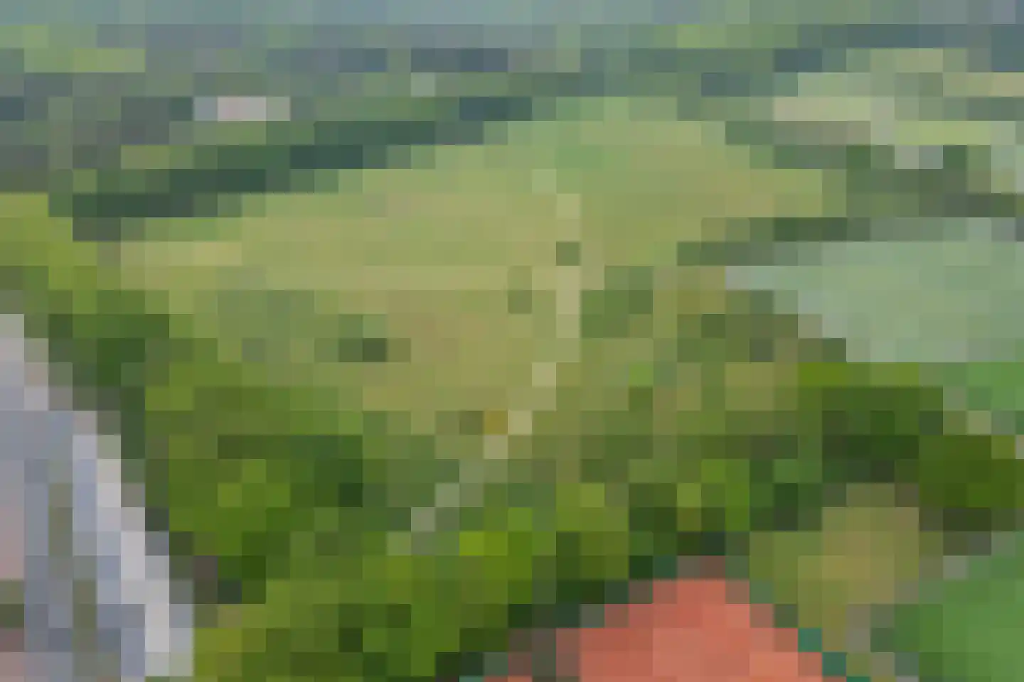 Nijmeegsebaan 130 Heilig Landstichting thumbnail 69