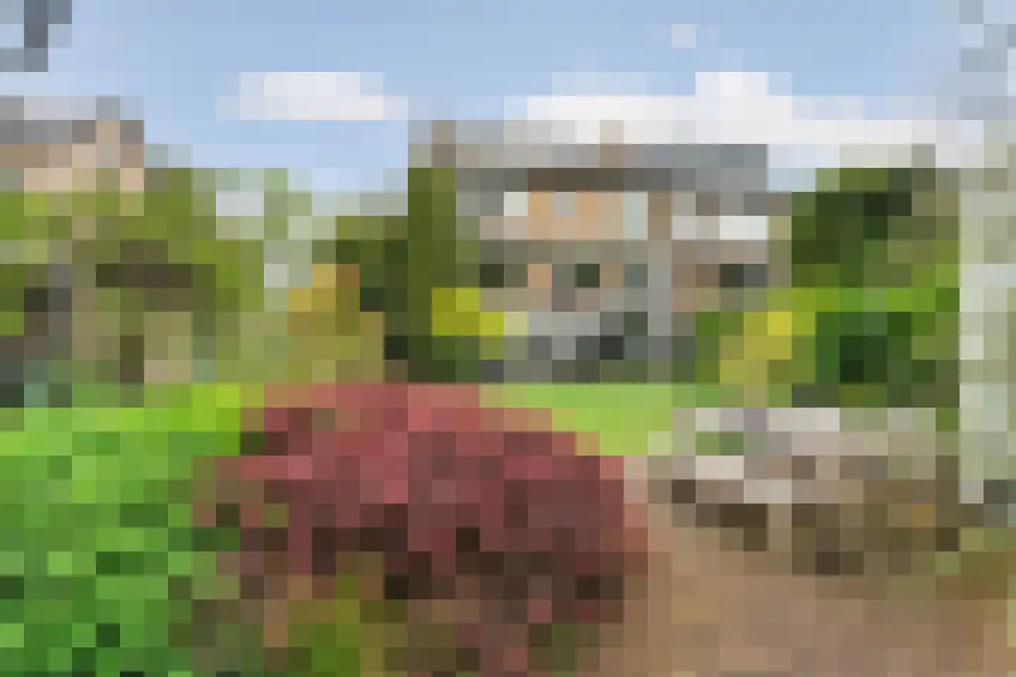 Nijmeegsebaan 130 Heilig Landstichting thumbnail 8