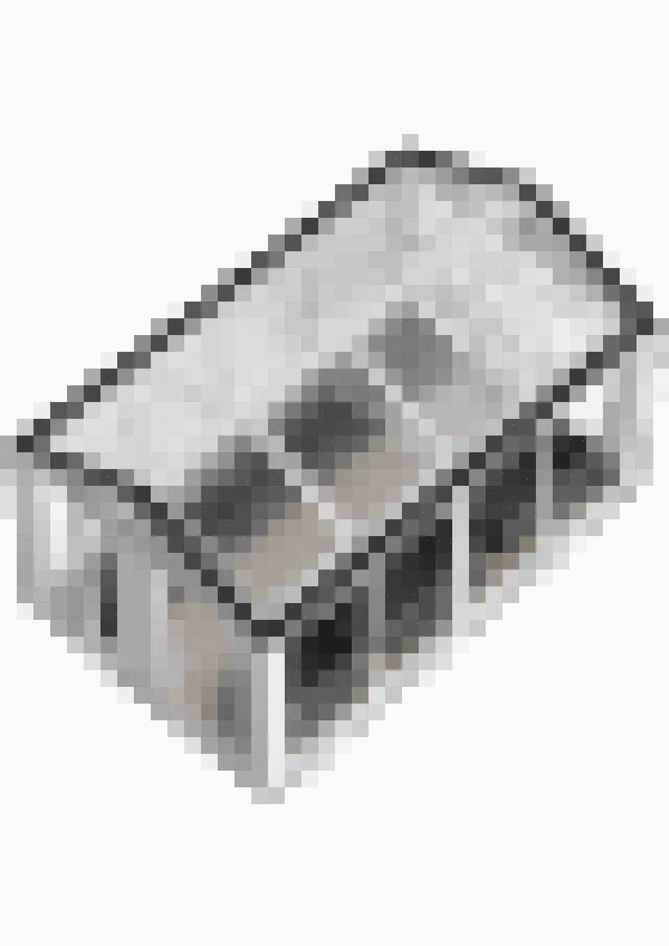Nijmeegsebaan 130 Heilig Landstichting thumbnail 84