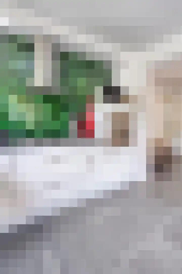 Nijmeegsebaan 16 Groesbeek thumbnail 10