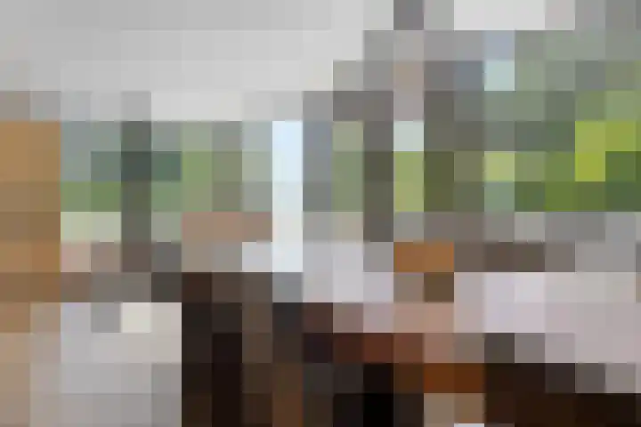 Nijmeegsebaan 16 Groesbeek thumbnail 17