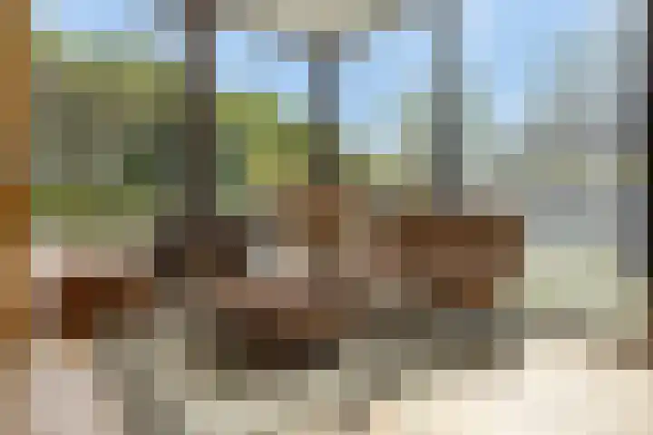 Nijmeegsebaan 16 Groesbeek thumbnail 18