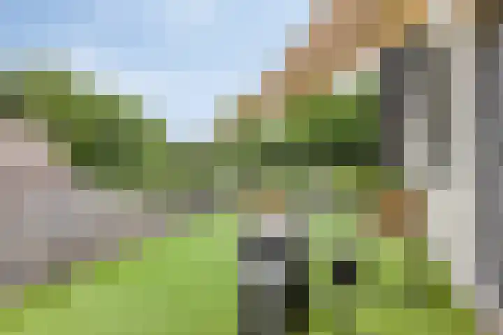 Nijmeegsebaan 16 Groesbeek thumbnail 28