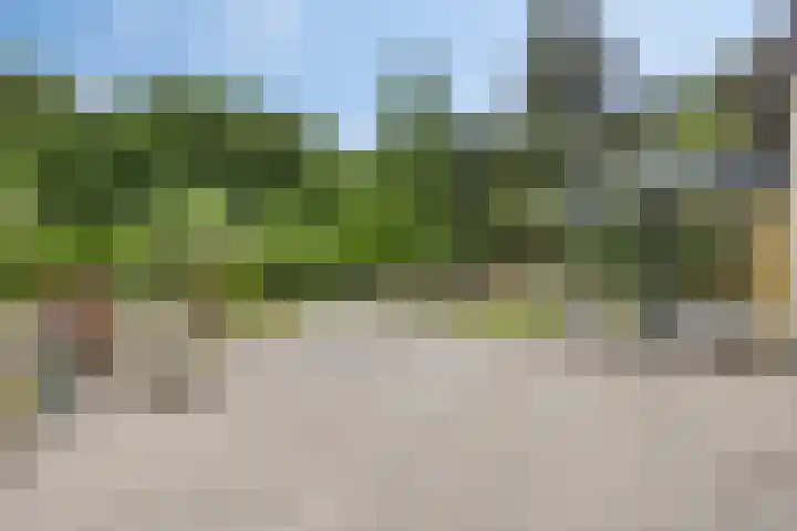 Nijmeegsebaan 16 Groesbeek thumbnail 44
