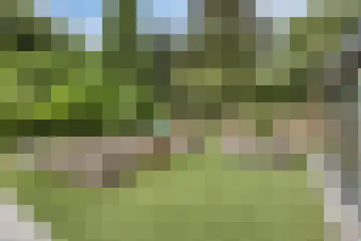 Nijmeegsebaan 16 Groesbeek thumbnail 45