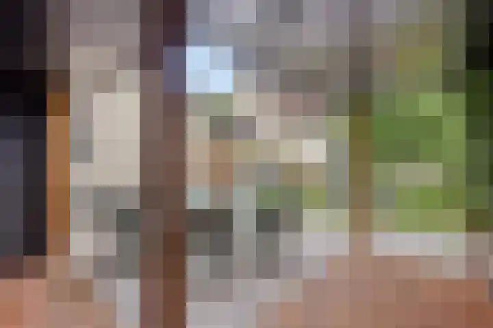 Nijmeegsebaan 16 Groesbeek thumbnail 50
