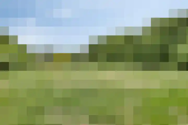 Nijmeegsebaan 16 Groesbeek thumbnail 52