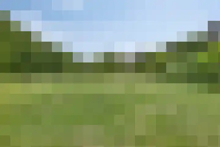 Nijmeegsebaan 16 Groesbeek thumbnail 53
