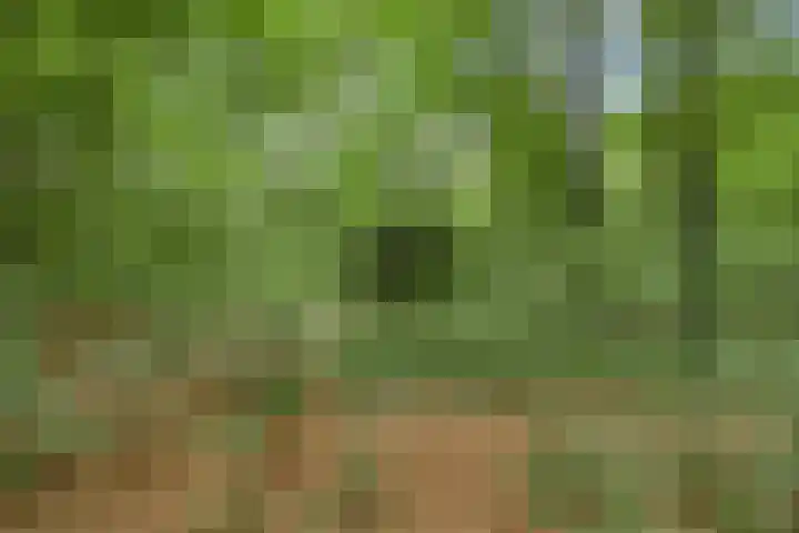Nijmeegsebaan 16 Groesbeek thumbnail 54