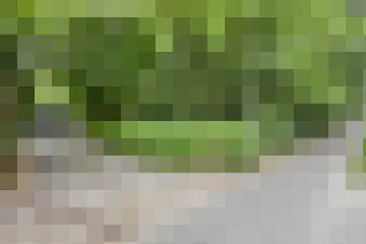 Nijmeegsebaan 16 Groesbeek thumbnail 55