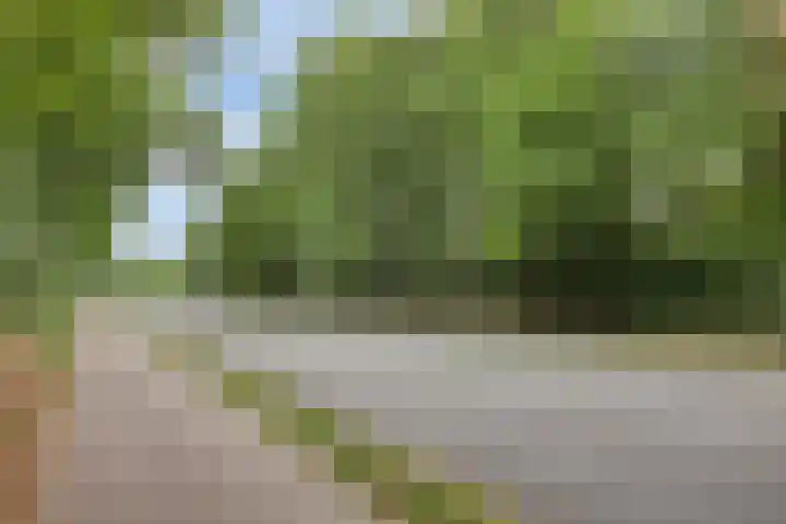 Nijmeegsebaan 16 Groesbeek thumbnail 56