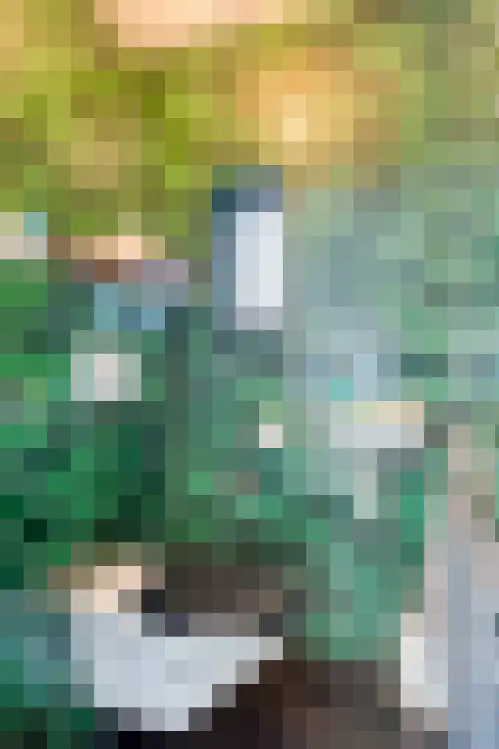 Nijmeegsebaan 16 Groesbeek thumbnail 7
