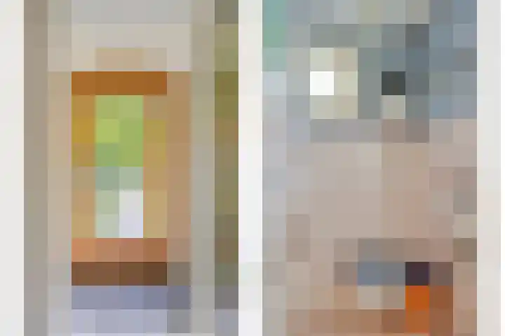 Nijmeegsebaan 45 Heilig Landstichting thumbnail 11