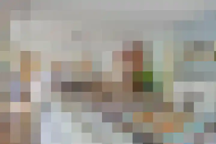 Nijmeegsebaan 45 Heilig Landstichting thumbnail 14