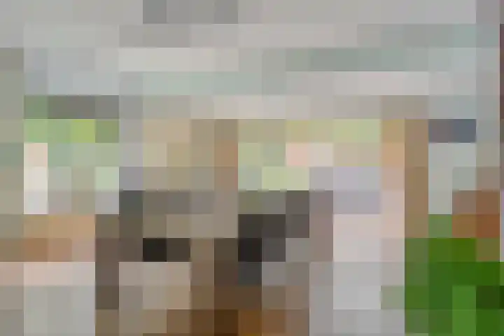 Nijmeegsebaan 45 Heilig Landstichting thumbnail 17