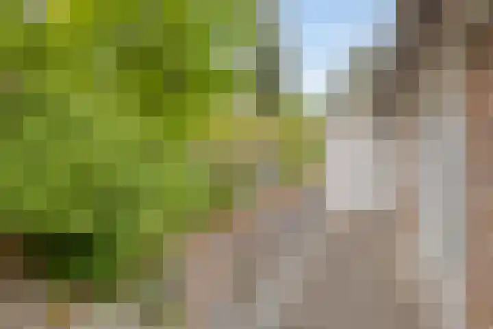 Nijmeegsebaan 45 Heilig Landstichting thumbnail 26