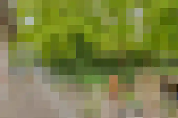 Nijmeegsebaan 45 Heilig Landstichting thumbnail 27