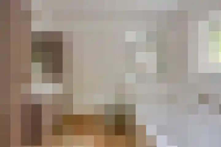 Nijmeegsebaan 45 Heilig Landstichting thumbnail 29
