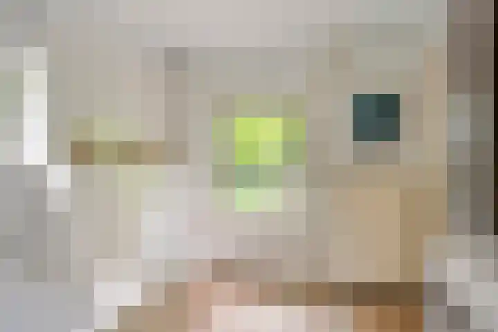Nijmeegsebaan 45 Heilig Landstichting thumbnail 30