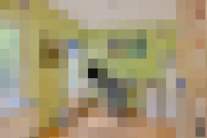 Nijmeegsebaan 45 Heilig Landstichting thumbnail 34