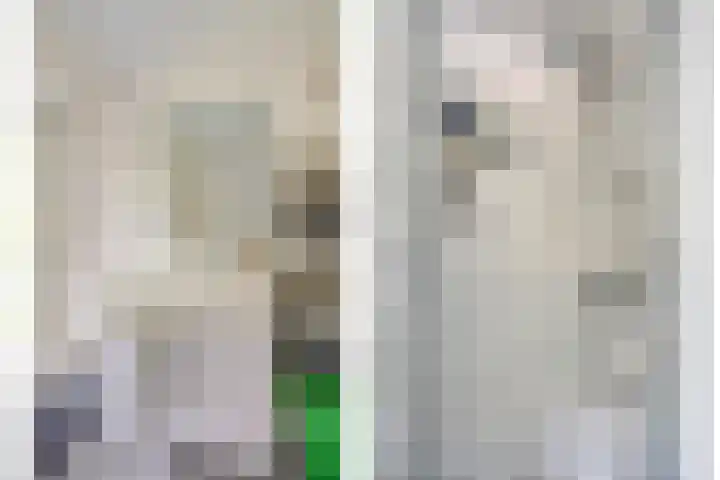 Nijmeegsebaan 45 Heilig Landstichting thumbnail 36