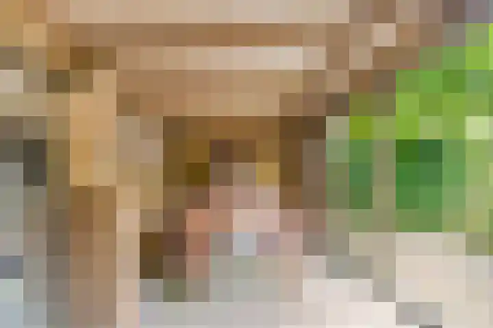 Nijmeegsebaan 45 Heilig Landstichting thumbnail 44