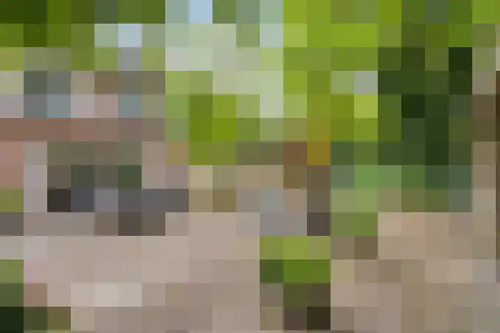 Nijmeegsebaan 45 Heilig Landstichting thumbnail 46