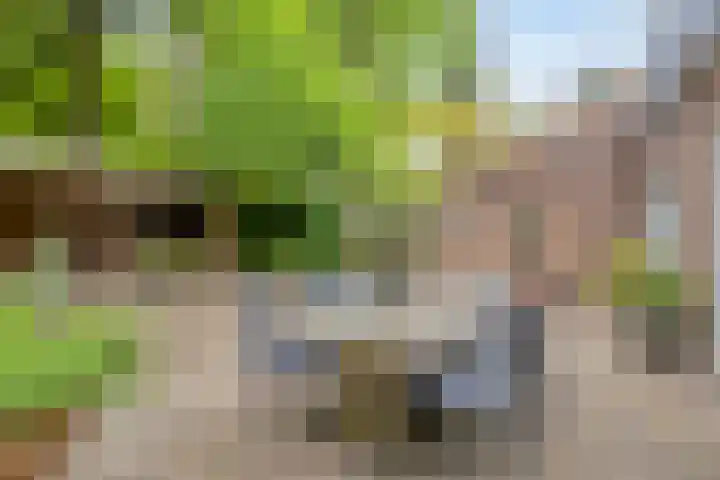Nijmeegsebaan 45 Heilig Landstichting thumbnail 48