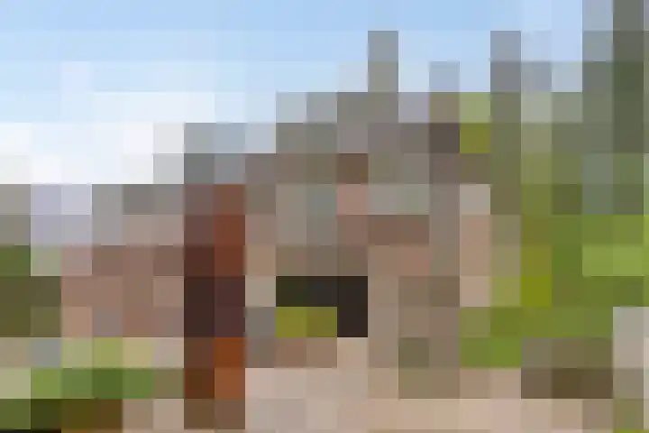 Nijmeegsebaan 45 Heilig Landstichting thumbnail 49