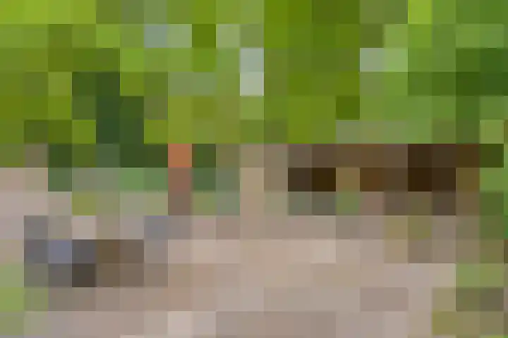 Nijmeegsebaan 45 Heilig Landstichting thumbnail 5