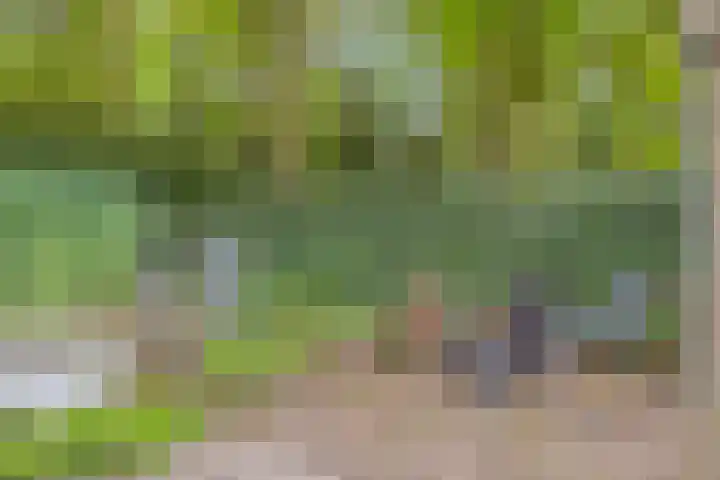 Nijmeegsebaan 45 Heilig Landstichting thumbnail 50