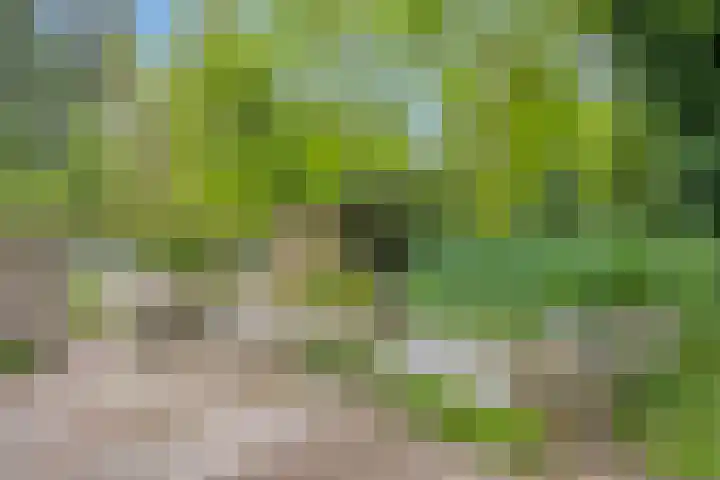 Nijmeegsebaan 45 Heilig Landstichting thumbnail 51