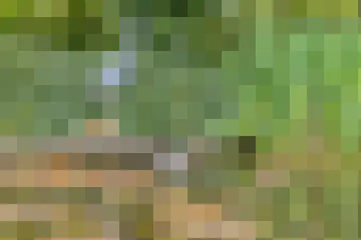 Nijmeegsebaan 45 Heilig Landstichting thumbnail 52