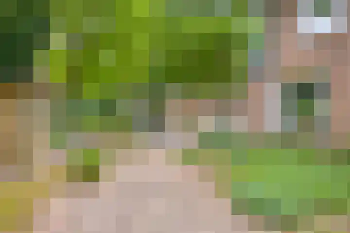 Nijmeegsebaan 45 Heilig Landstichting thumbnail 53