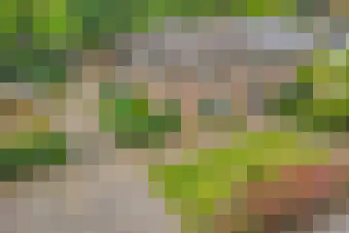 Nijmeegsebaan 45 Heilig Landstichting thumbnail 58