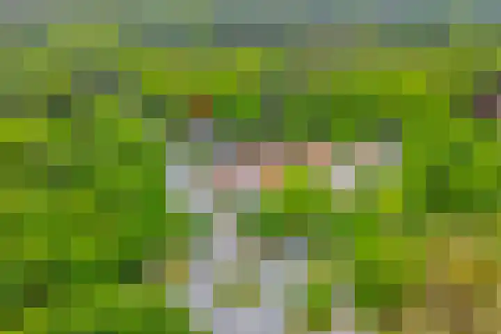 Nijmeegsebaan 45 Heilig Landstichting thumbnail 6