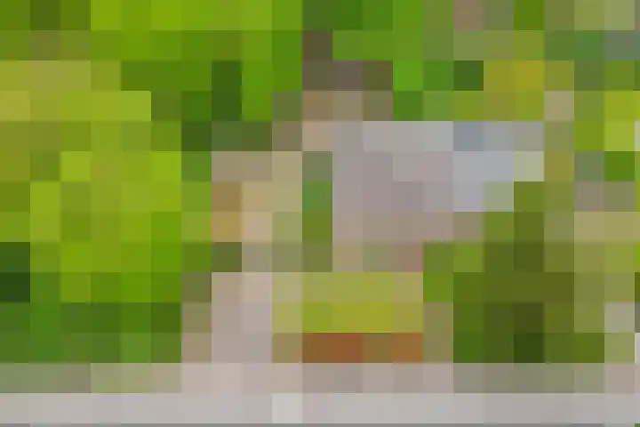 Nijmeegsebaan 45 Heilig Landstichting thumbnail 60