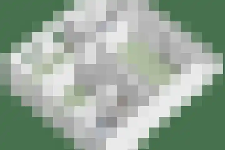 Nijmeegsebaan 45 Heilig Landstichting thumbnail 68