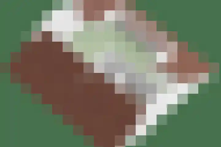 Nijmeegsebaan 45 Heilig Landstichting thumbnail 70