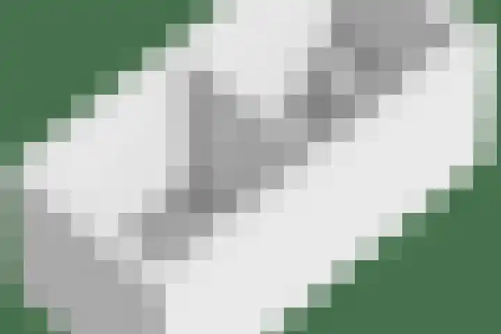 Nijmeegsebaan 45 Heilig Landstichting thumbnail 72