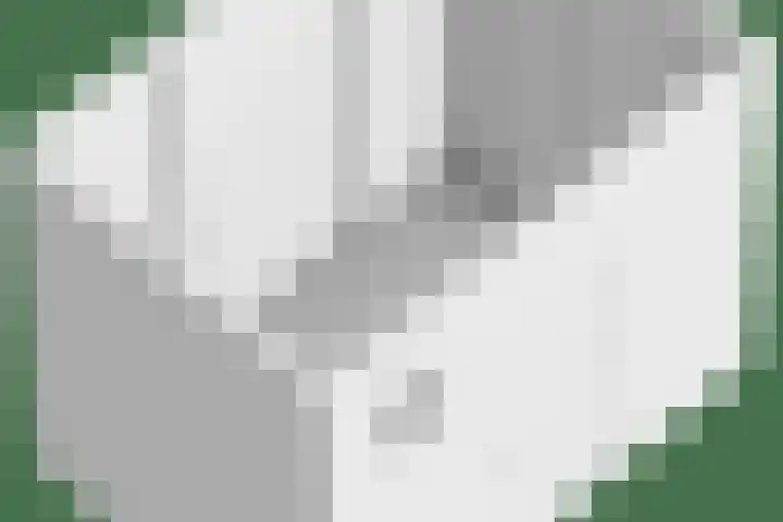 Nijmeegsebaan 45 Heilig Landstichting thumbnail 76