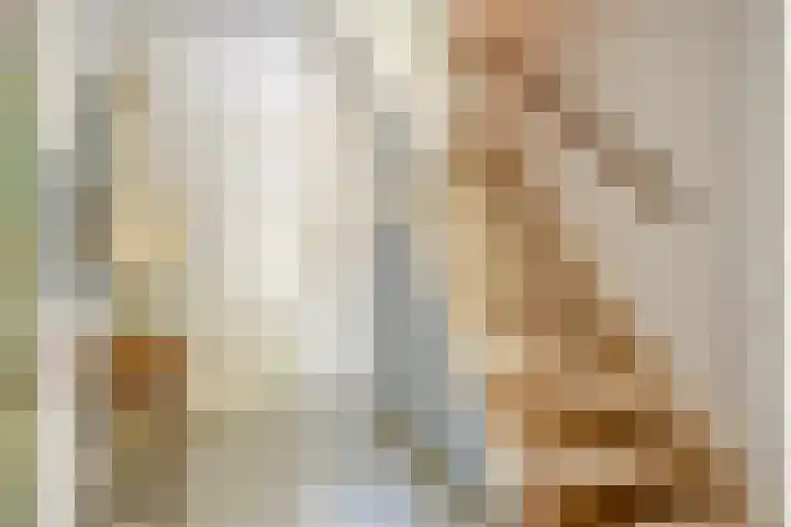 Nijmeegsebaan 45 Heilig Landstichting thumbnail 9