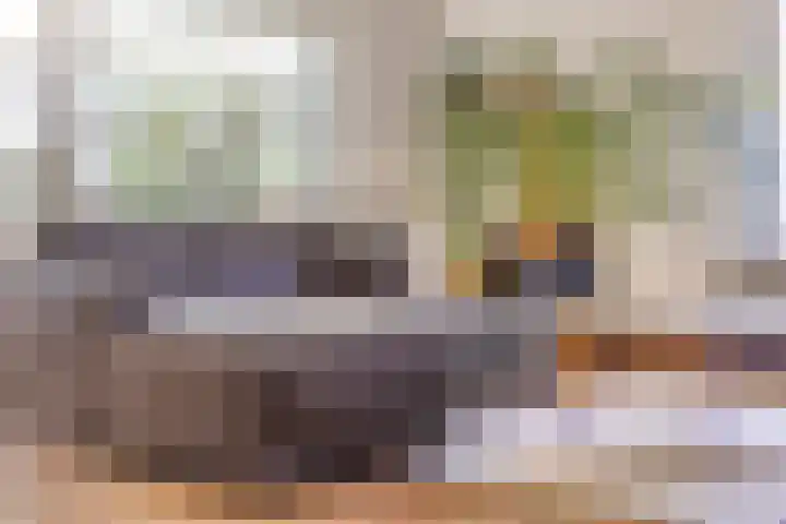 Nijmeegsebaan 47 Heilig Landstichting thumbnail 14