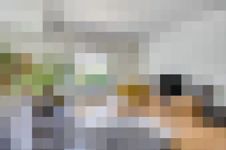 Nijmeegsebaan 47 Heilig Landstichting thumbnail 15