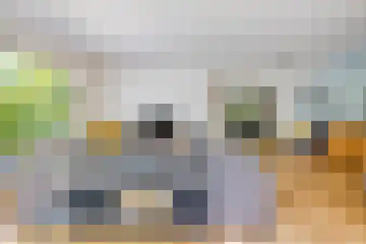 Nijmeegsebaan 47 Heilig Landstichting thumbnail 17